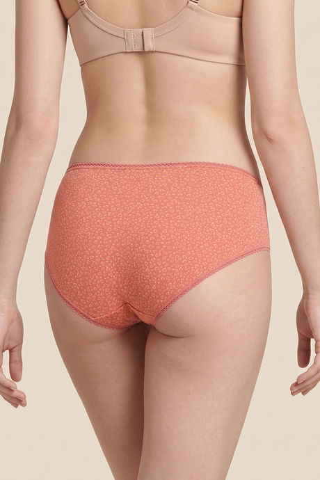 Zivame Regular Rise Full Coverage Hipster Panty (Pack of 3) - Multicolor — image 8